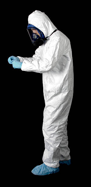 Professional Mold Removal in Kendall Park, NJ