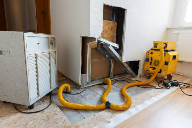 Best Mold Documentation for Insurance Claims  in Kendall Park, NJ