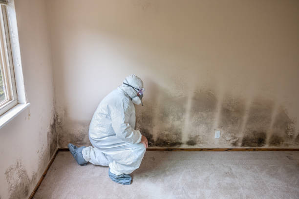 Best HVAC Mold Inspection and Cleaning  in Kendall Park, NJ