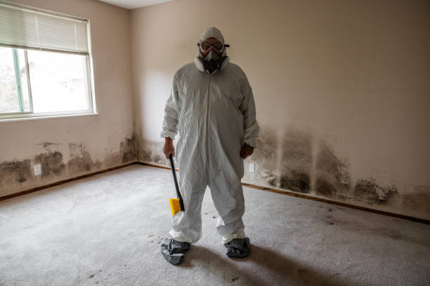 Biohazard Mold Removal in Kendall Park, NJ