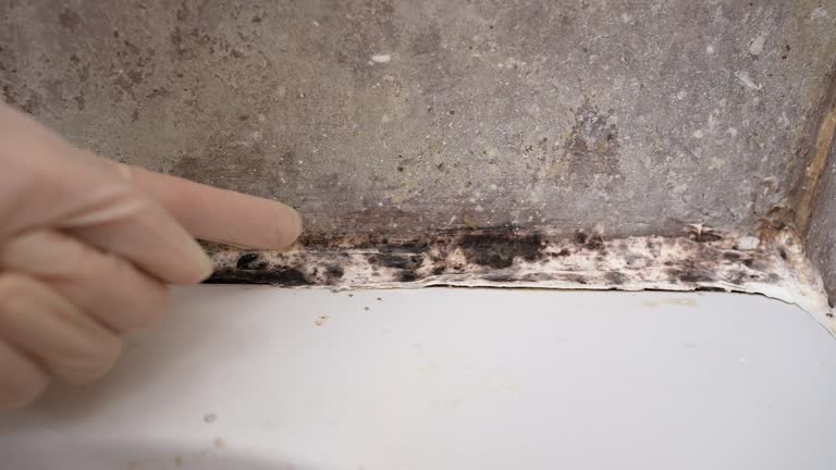Best Indoor Air Quality Assessment  in Kendall Park, NJ